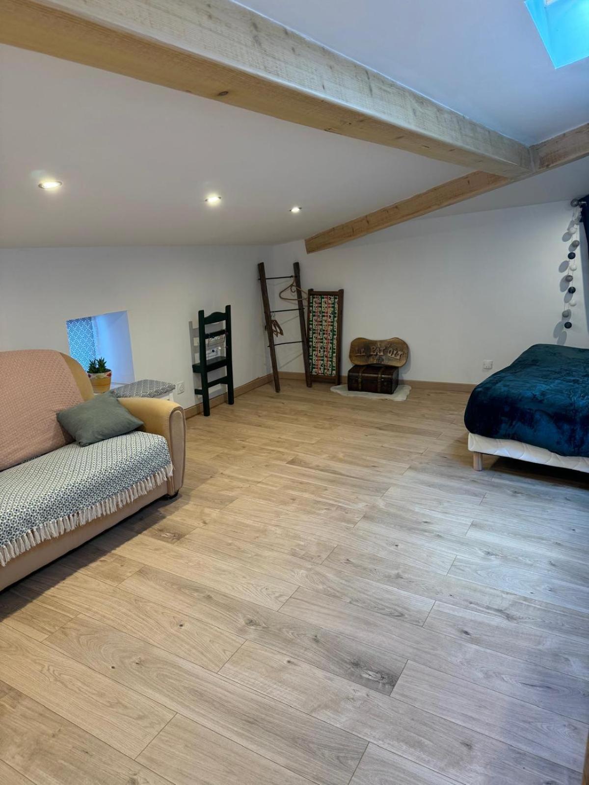 Le Pat' Toit A La Traboule Villa Aurec-Sur-Loire Dış mekan fotoğraf